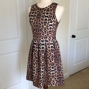 Leopard Print Dress